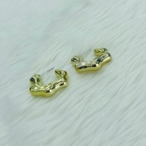 Stainless Steel Earring