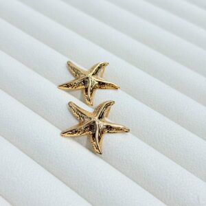 Stainless Steel Star Earring