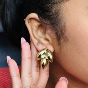 Stainless Steel earring