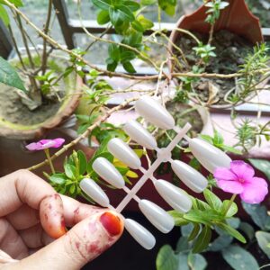 Nail with 12 piece Sticker