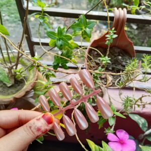 Nail with Sticker